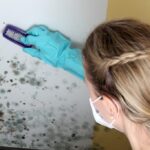 successful mold removal and Microbial Contamination