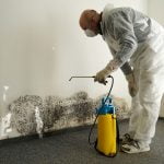 How to Get Rid of Mold in Attics