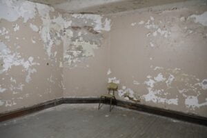 The mold removal process could take up to five days depending on how severe the damage is.