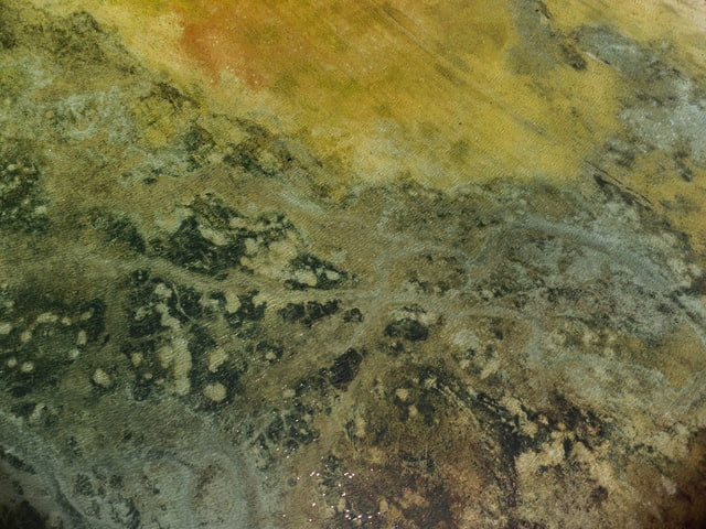 Mold damage after a flood is normal, but a trained technician can help treat it at the source.