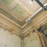 With a mold remediation team, you can kill mold at the source so it doesn't cause a problem for your home.