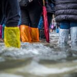Did your home suffer a flood? Tackle mold and water damage with professional flood restoration services.