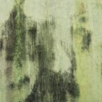 Did you recently experience flood damage? If so, you will also need to look into professional mold removal services.