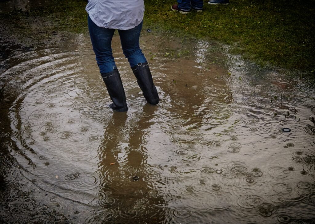 Make sure to take pictures of water damage before your water restoration appointment. This will be useful for your insurance claim.