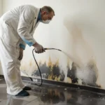 6 Steps to Take After Water Damage