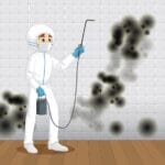 Understanding Mold: Causes, Effects, and Comprehensive Removal Techniques