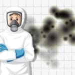 Black Mold: Understanding the Risks, Prevention, and Remediation