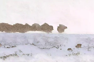 Repair Water Damaged Wall Plaster