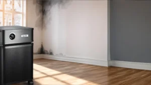 Can air purifier help with mold