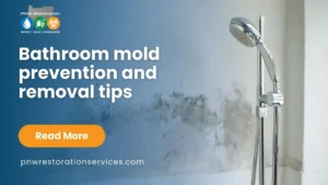 bathroom mold prevention and removal tips