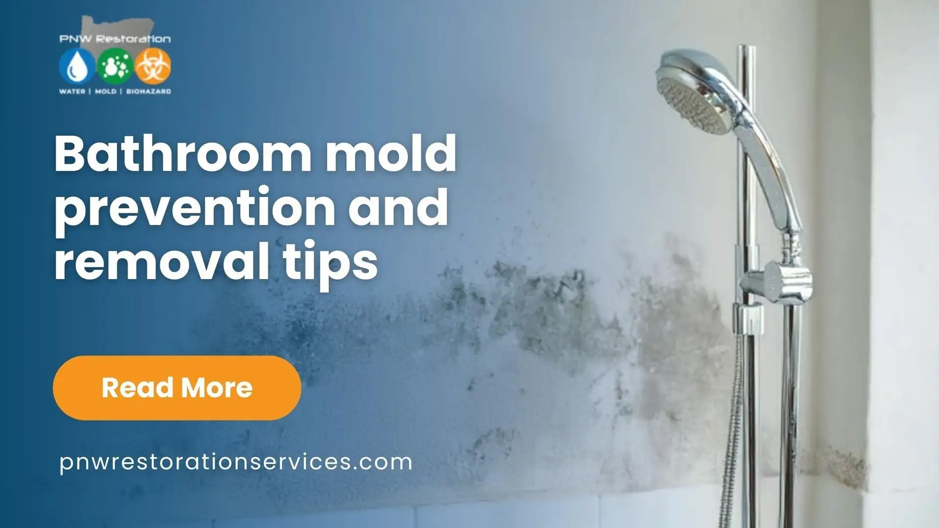 bathroom mold prevention and removal tips