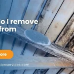 how do i remove mold from wood