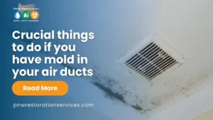 crucial things to do if you have mold in your air ducts