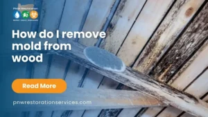 how do i remove mold from wood