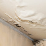 Your Ceiling Is Talking Are You Listening Strange Signs of a Hidden Leak