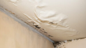 Your Ceiling Is Talking Are You Listening Strange Signs of a Hidden Leak