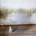 Preventing Mold After a Hurricane A Guide for Homeowners