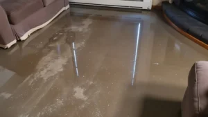 What Is Water Damage Restoration A Complete Guide for Homeowners