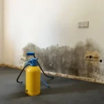 Is Your Home Making You Sick How a Free Mold Inspection Can Help