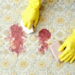 How to Clean up Blood Spills