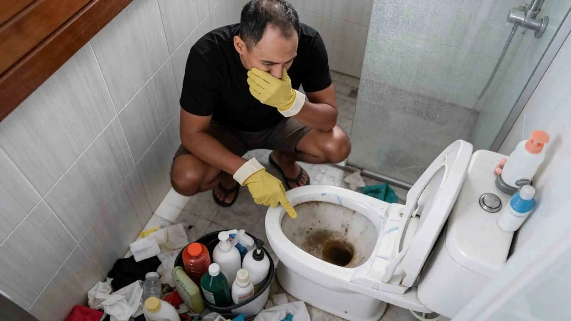 How to get rid of damp smell in bathroom