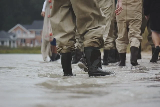 Basement water removal can restore your basement to the way it was before the flood.