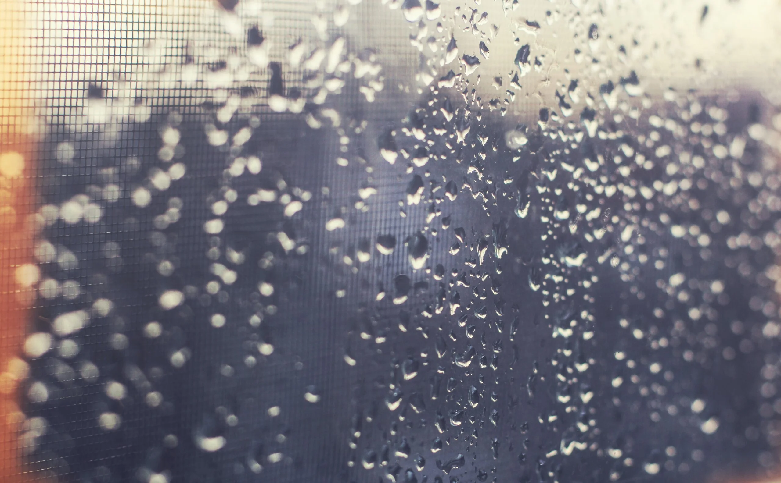 Did you suffer water damage? A professional water restoration services company can mitigate the damage.