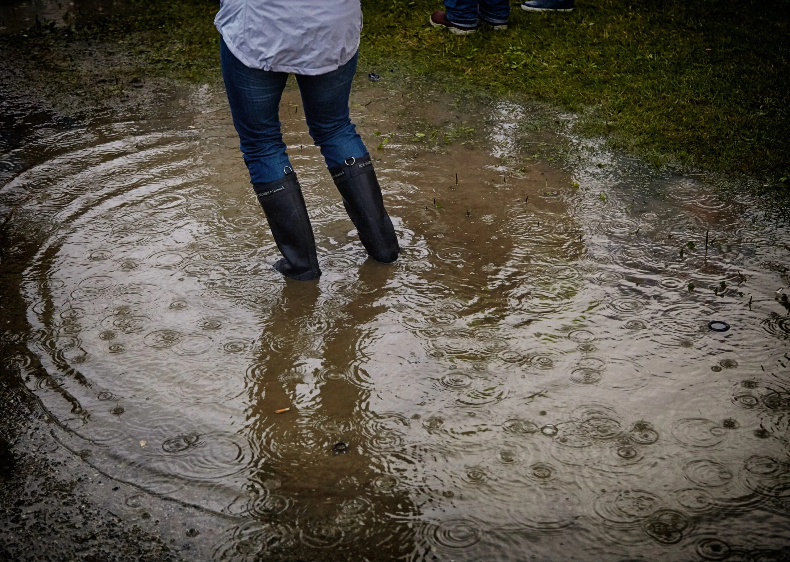 With professional water damage repair, you can combat mold before it grows too out of control.