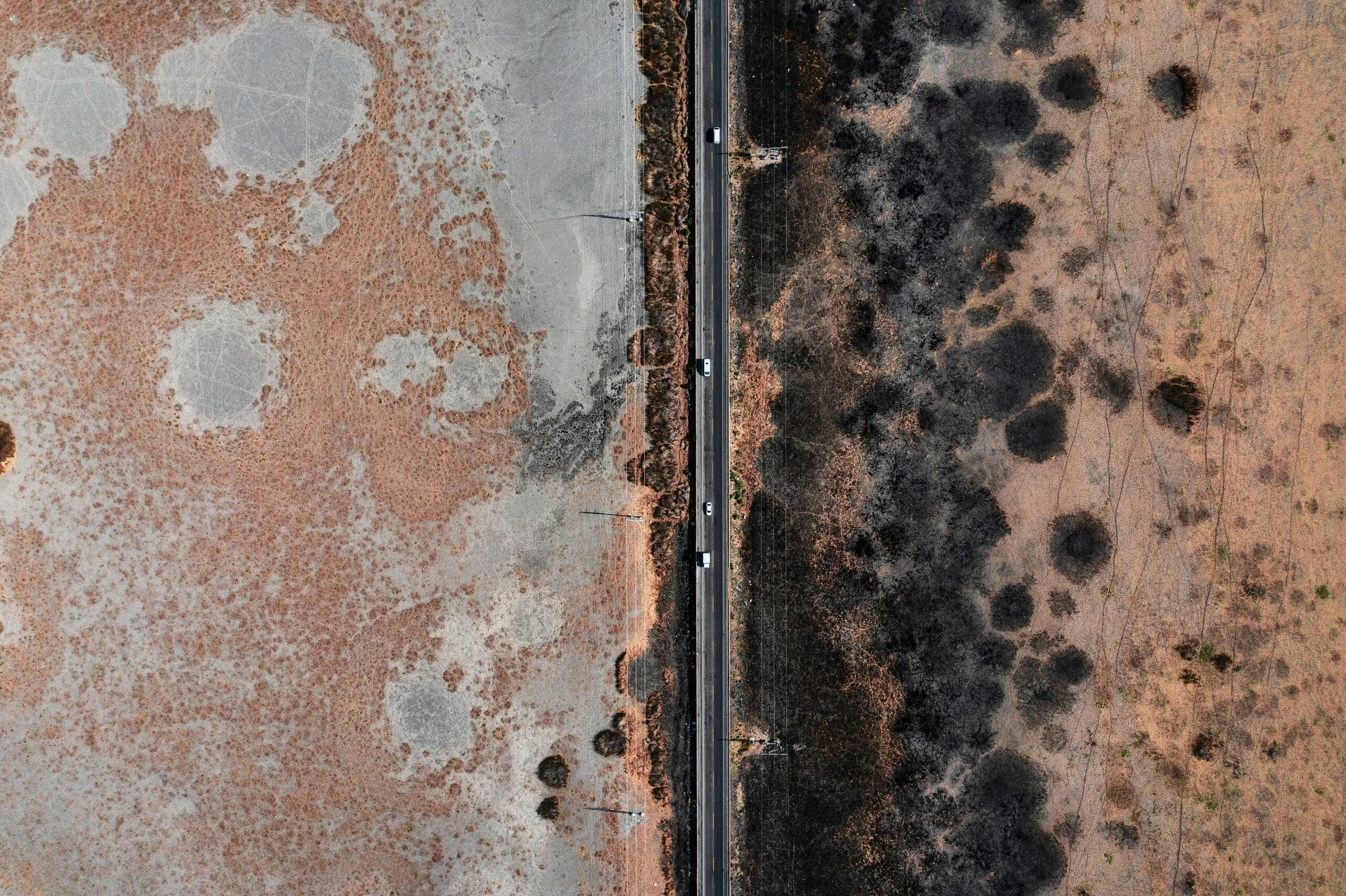 With a mold damage mitigation technician, you can get your home back to normal.