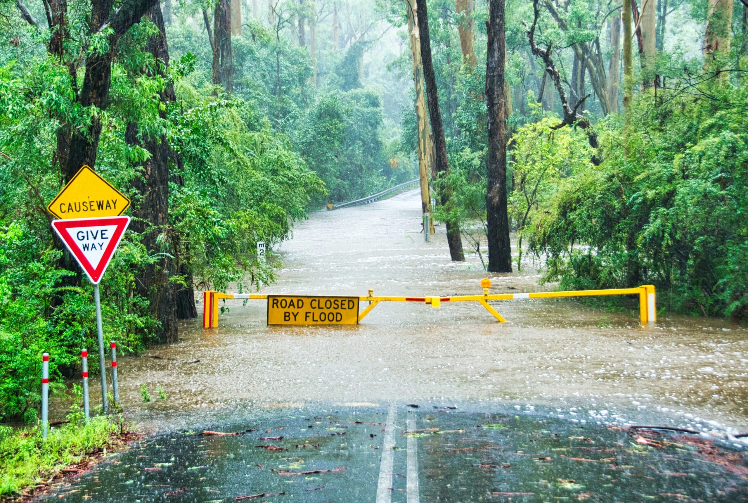 With professional water damage restoration Portland-based services from PNW Restoration, you can restore your home to look the way it used to before a flood, burst pipe, or any other type of water damage.